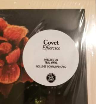 LP Covet: Effloresce