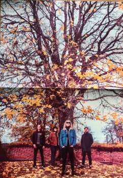 LP Craneium: Unknown Heights LTD | CLR