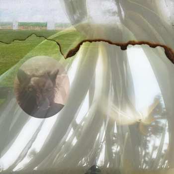 Album Credit Electric: Six