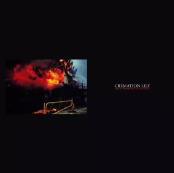 Cremation Lily: Fires Frame The Silhouette
