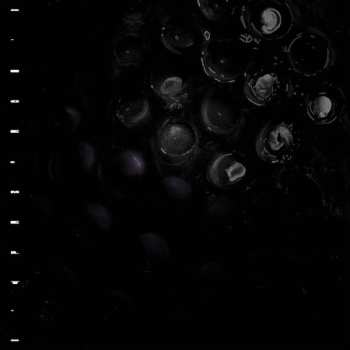 LP Crumb: Ice Melt CLR | LTD