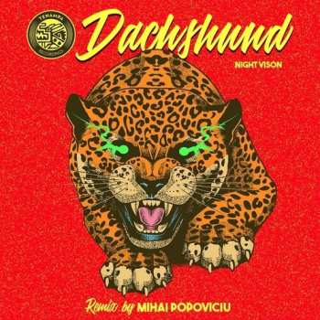 Album Dachshund,mihai Popoviciu: Night Vision