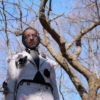 LP Daedelus: What Wands Won't Break LTD