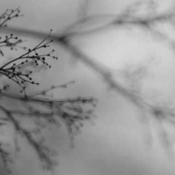 CD Emanuele Errante: What Matters Most
