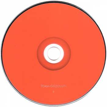 2CD Dam-Funk: Toeachizown