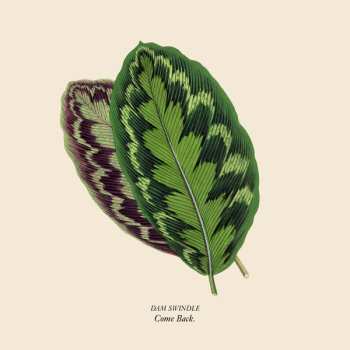 Album Dam Swindle: Come Back