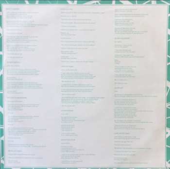 LP Damien Jurado: Brothers And Sisters Of The Eternal Son