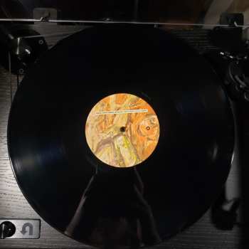 LP Dance Gavin Dance: Whatever I Say Is Royal Ocean