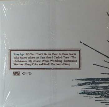 LP Daniel Martin Moore: Stray Age