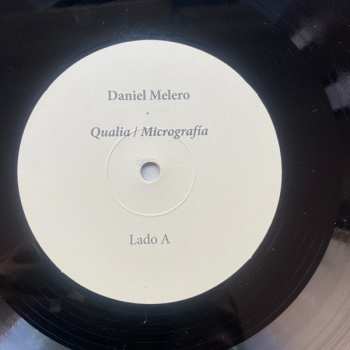 LP Daniel Melero: Qualia / Micrografía