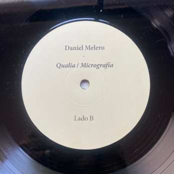 LP Daniel Melero: Qualia / Micrografía