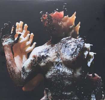 2LP Danny Elfman: Big Mess LTD | CLR