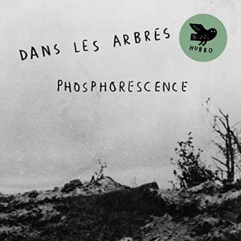 CD Dans Les Arbres: Phosphorescence
