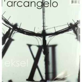D'arcangelo: Eksel