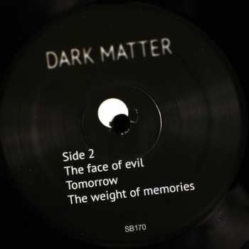 LP Dark Matter: Dark Matter