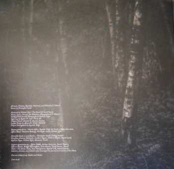 LP Darkher: The Buried Storm CLR | LTD