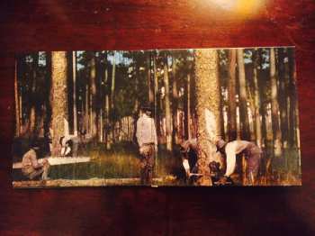 CD Dash Rip Rock: Black Liquor