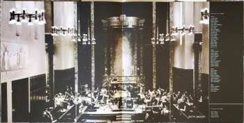 2LP Dave Matthews: Some Devil