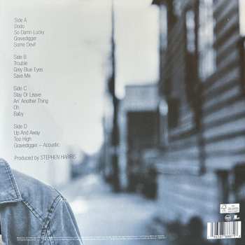 2LP Dave Matthews: Some Devil