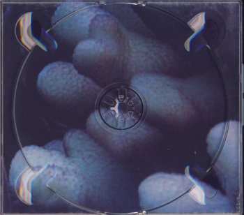 CD David Byrne: Lead Us Not Into Temptation - Music From The Film Young Adam