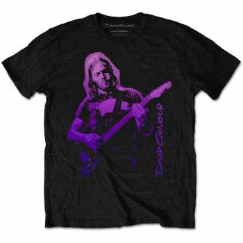 Merch David Gilmour: T-shirt Pig Gradient 