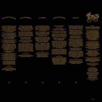 2LP David Gray: Gold In A Brass Age