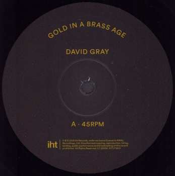 2LP David Gray: Gold In A Brass Age