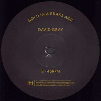 2LP David Gray: Gold In A Brass Age