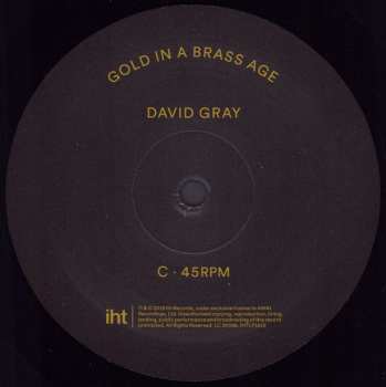 2LP David Gray: Gold In A Brass Age