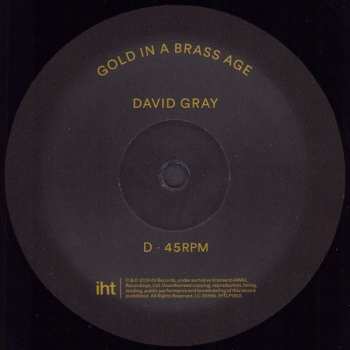 2LP David Gray: Gold In A Brass Age