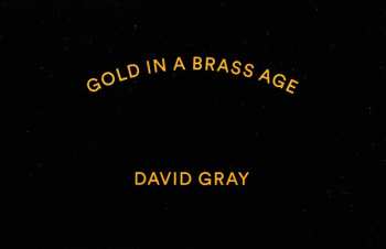 2LP David Gray: Gold In A Brass Age