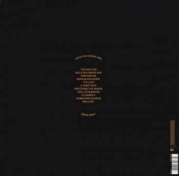 2LP David Gray: Gold In A Brass Age