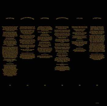 2LP David Gray: Gold In A Brass Age