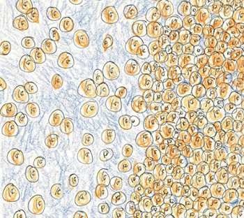 Album David Greenberger: Near The Edge Of The Penny Jar Spill