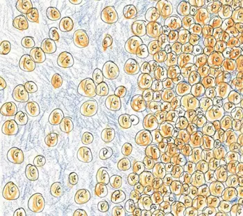 Near The Edge Of The Penny Jar Spill