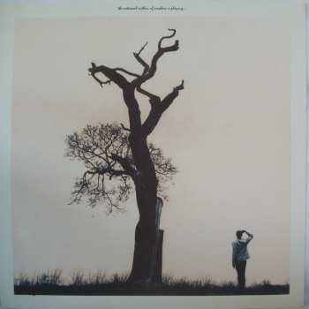 LP David J: Songs From Another Season