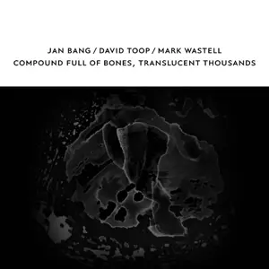 David & Jan Bang & Toop: Compound Full Of Bones, Translucent Thousands