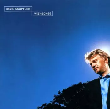 David Knopfler: Wishbones