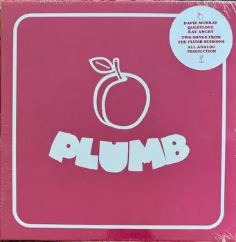 David Murray: Plumb