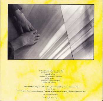 LP David Sylvian: Brilliant Trees