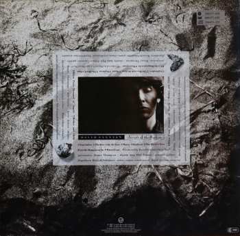 LP David Sylvian: Secrets Of The Beehive