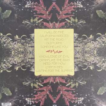 LP David Vandervelde: Waiting For The Sunrise