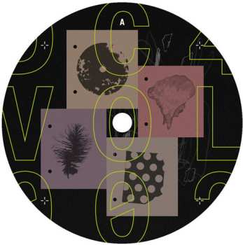 Album Dc4 Vol. 2 / Various: Dc4 Vol. 2