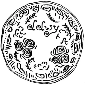 ddwy: Spinning Stones