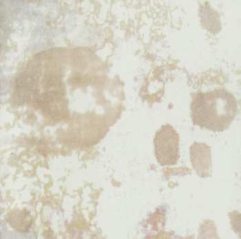 CD Dead Can Dance: Toward The Within