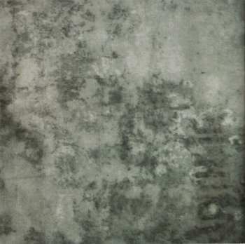 CD Dead Can Dance: Toward The Within