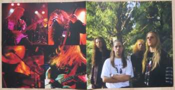 LP Dead Head: Dream Deceiver