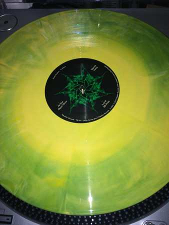 2LP/CD Dead Meadow: Feathers DLX | LTD | CLR