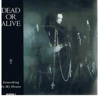 Album Dead Or Alive: Something In My House