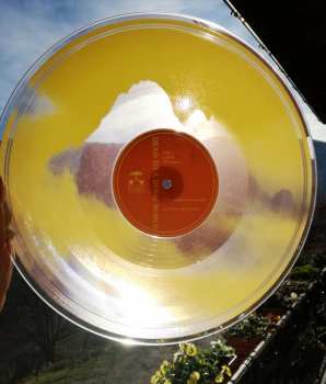 2LP Dead To A Dying World: Elegy LTD | CLR
